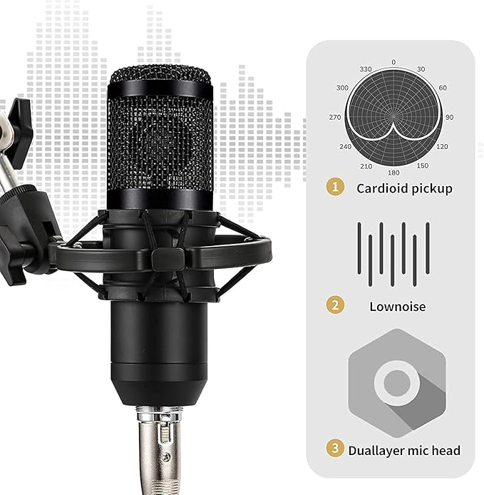 ميكروفون من زيريفام موديل BM-800 باللون الأسود مع اتصال XLR - الصورة 2